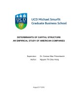 Determinants of capital structure an empirical study of american companies (LV thạc sĩ)