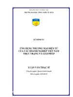 Ứng dụng thương mại điện tử của các doanh nghiệp Việt Nam thực trạng và giải pháp