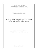 Cát tuyến trong tam giác và các bài toán liên quan (LV thạc sĩ)
