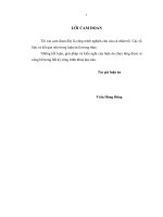 THỰC TRẠNG HIỆU QUẢ SỬ DỤNG PHÍ BẢO HIỂM CỦA CÁC DOANH NGHIỆP BẢO HIỂM PHI NHÂN THỌ VIỆT NAM
