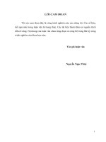 Một số biện pháp cơ bản nâng cao hiệu quả sử dụng vốn của công ty cổ phần vận tải biển Vinaship