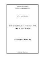 Toán học,điều kiện tối ưu cấp cao,nón tiếp tuyến cấp cao (LV thạc sĩ)