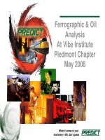 Ferrographic  oil analysis 05 2008 