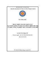 Phát triển nguồn nhân lực tại tổng công ty đầu tư phát triển đô thị và khu công nghiệp Việt Nam đến năm 2020