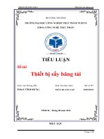 đề tài 39  trần quang tạo  sấy băng tải