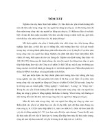 Sự thỏa mãn trong công việc của người lao động tại CTCP Cơ khí Chế tạo máy Long An