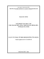 Giải pháp tạo việc làm cho thanh niên nông thôn huyện Bình Liêu, tỉnh Quảng Ninh (LV thạc sĩ)