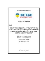 Phân tích hiệu quả sử dụng vốn tại các công ty ngành thực phẩm và đồ uống niêm yết trên sàn giao dịch chứng khoán thành phố Hồ Chí Minh