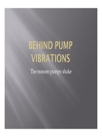 Behind pump vibrations 09 2010 