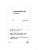 Oil fundamentals VI 02 2007 