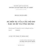Sự hội tụ của các độ đo xác suất và ứng dụng