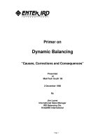 Dynamic Balancing  Causes Corrections and Consequences