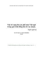 Việc từ vựng hóa các phổ màu Việt ngữ trong quá trình đồng hóa từ vay mượn