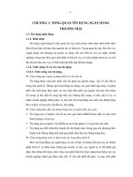 THỰC TRẠNG VÀ HIỆU QUẢ HOẠT ĐỘNG TÍN DỤNG TẠI NGÂN HÀNG TMCP XUẤT NHẬP KHẨU VIỆT NAM