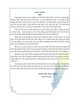 Luận Văn Thực trạng và hướng hoàn thiện pháp luật Việt Nam về gia nhập điều ước quốc tế