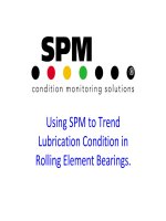 SPM SC presentation 12 2008 