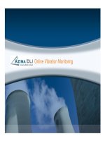 Online vibration system 12 2008 