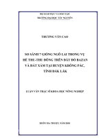 Luận văn thạc sĩ Nông nghiệp So sánh 7 giống ngô lai trong vụ hè thu-thu đông trên đất đỏ bazan và đất xám tại huyện Krông Pắc tỉnh Đăk Lăk