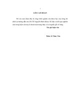 luận văn thạc sĩ  quản lý nhà nƣớc địa phƣơng đối với các doanh nghiệp có vốn đầu tƣ trực tiếp nƣớc ngoài trên địa bàn tỉnh bắc ninh