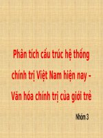 Phân tích cấu trúc hệ thống chính trị việt nam hiện nay   văn hóa chính trị của giới trẻ