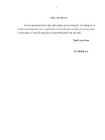 luận văn thạc sĩ  quản trị rủi ro tín dụng trong cho vay doanh nghiệp nhỏ và vừa tại ngân hàng TMCP đông nam á (SeABank) – chi nhánh hai bà trƣng