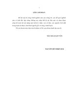 luận văn thạc sĩ  quản lý rủi ro tín dụng trong cho vay khách hàng doanh nghiệp tại NHTMCP kỹ thƣơng việt nam   chi nhánh hoàng quốc việ 