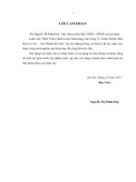 luận văn thạc sĩ  phát triển chiến lƣợc marketing của công ty trách nhiệm hữu hạn la vie – chi nhánh hà nội