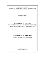 Phát triển du lịch biển đảo nhằm chuyển dịch cơ cấu kinh tế nông nghiệp, nông thôn ở huyện Cô Tô, tỉnh Quảng Ninh (LV thạc sĩ)