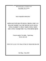 Quản trị Kinh doanh Kiểm soát rủi ro tín dụng trong cho vay doanh nghiệp tại chi nhánh Ngân hàng Nông nghiệp và Phát triển Nông thôn Khu công nghiệp Phú Tài, tỉnh Bình Định