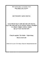 Luận văn Thạc sĩ Quản trị kinh doanh Giải pháp hạn chế rủi ro tín dụng tại chi nhánh Ngân hàng nông nghiệp và phát triển nông thôn quận Ngũ Hành Sơn