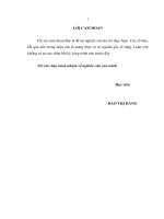 luận văn thạc sĩ kế toán chi phí sản xuất và giá thành sản phẩm tại các doanh nghiệp sản xuất nhựa trên địa bàn hƣng yên 