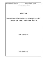 phân tích trạng thái ứng suất và biến dạng của cửa van hình cung có xét đến hiệu ứng p delta 
