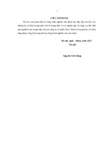 luận văn thạc sĩ hoàn thiện chính sách marketing của công ty cổ phần trúc thôn