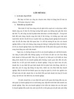 luận văn thạc sĩ kế toán chi phí, doanh thu và xác định kết quả kinh doanh tại các doanh nghiệp thuộc tổng công ty cổ phần may hƣng yên