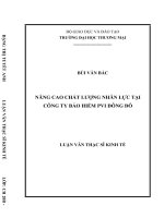 luận văn thạc sĩ nâng cao chất lƣợng nhân lực tại công ty bảo hiểm PVI đông đô