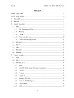 quy trình sản xuất snack