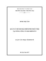luận văn thạc sĩ  quản lý rủi ro bảo hiểm phi nhân thọ tại tổng công ty bảo hiểm pvi 