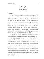 Sử dụng các dòng vi khuẩn phòng trừ vi khuẩn gây bệnh héo xanh trên cà chua