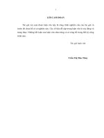 luận văn thạc sĩ hoàn thiện chính sách marketing của công ty TNHH thƣơng mại và sản xuất hoàng mai