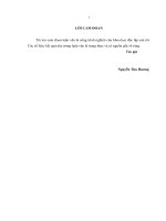 luận văn thạc sĩ Giải pháp nâng cao chất lƣợng tín dụng đầu tƣ phát triển tại ngân hàng phát triển việt nam