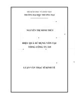 luận văn thạc sĩ   hiệu quả sử dụng vốn tại tổng công ty 319