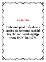 Luận văn Tình hình phát triển doanh nghiệp và các chính sách hỗ trợ cho các doanh nghiệp trong KCN Tp. HCM