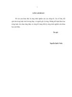 luận văn thạc sĩ  rủi ro tín dụng trong cho vay khách hàng cá nhân tại ngân hàng TMCP đầu tƣ và phát triển việt nam (BIDV)   chi nhánh hải dƣơng