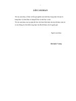 Luận văn thạc sĩ Thú Y Thực trạng bệnh viêm tử cung ở đàn lợn nái ngoại nuôi tại huyện Krông Pắk tỉnh Đắk Lắk và thử nghiệm điều trị