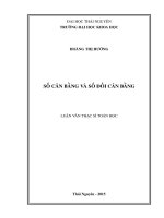 Số cân bằng và số đối cân bằng (LV thạc sĩ)