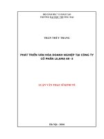 luận văn thạc sĩ  phát triển văn hoá doanh nghiệp tại công ty cổ phần LILAMA 69 3 (2) 