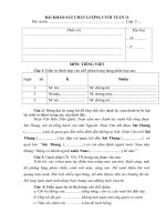 De khao sat toan  TV lop 5 tuan 11 