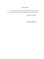 luận văn thạc sĩ kế toán chi phí sản xuất và tính giá thành sản phẩm tại công ty TNHH TM thạch dƣơng