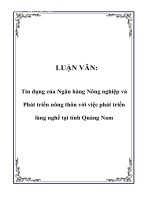 LUẬN VĂN Tín dụng của Ngân hàng Nông nghiệp và Phát triển nông thôn với việc phát triển làng nghề tại tỉnh Quảng Nam