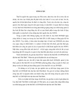 luận văn thạc sĩ  quản lý thu thuế đối với DNNQD trên địa bàn tỉnh thái bình